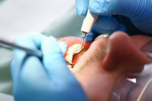 Best Orthodontic Emergency Dentist in Paw Paw, MI